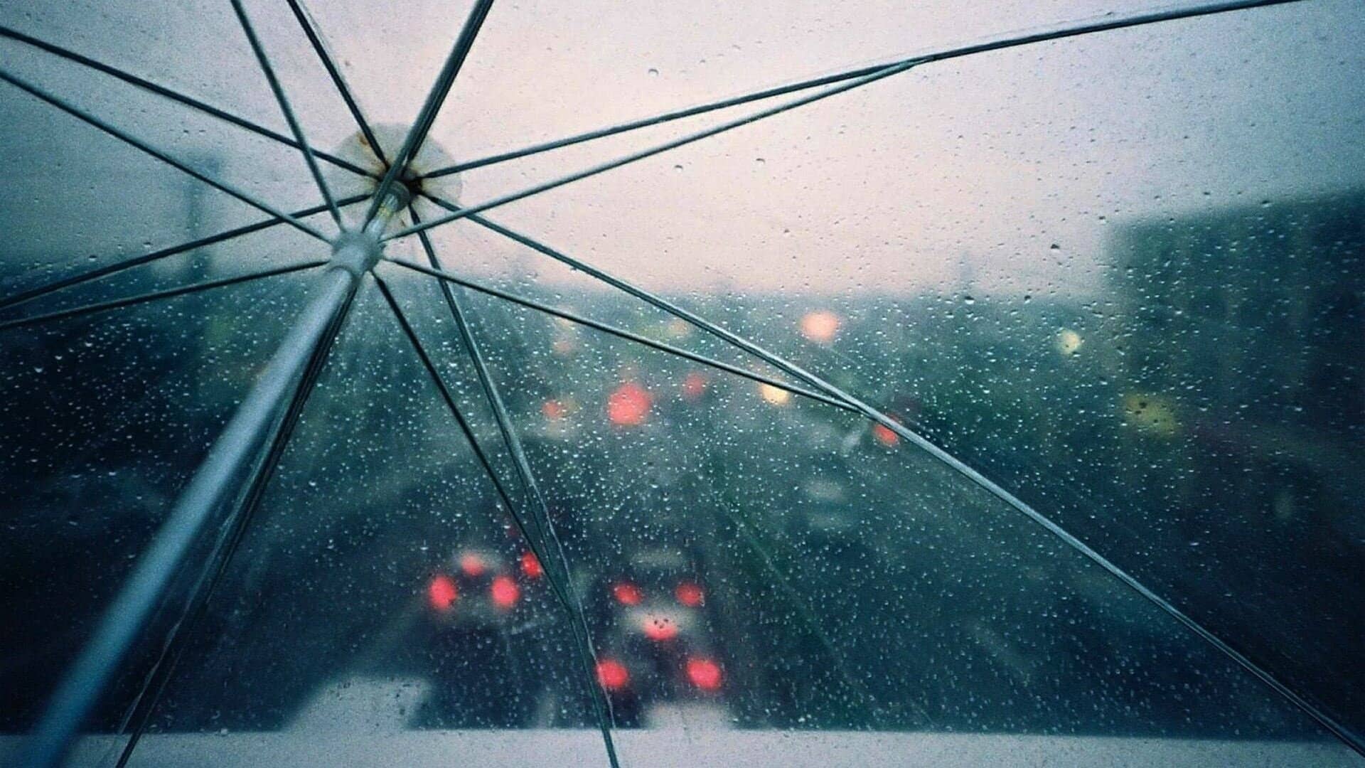 انتخاب تصویر